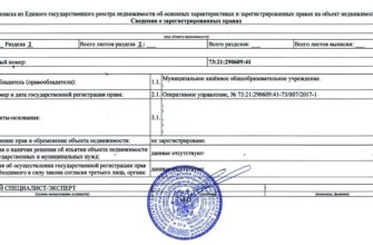 После кадастрового учета здания собственнику выдается выписка ЕГРН