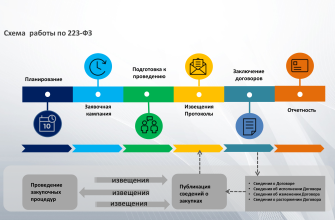 Общая схема участия в торгах, от подачи заявки до подписания контракта